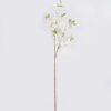 Artificial Flower 20*10*95cm Flower single stem GS-39126022 2026Jul 3,000+ sqm showroom with thousands of artificial flowers, plants & trees ready for global sourcing.