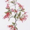 Artificial Flower Flower single stem GS-77326014-R1_3 Artificial Flower 19*8*93cm Flower single stem GS-77326014-R1 2026Aug 3,000+ sqm showroom with thousands of artificial flowers, plants & trees ready for global sourcing.