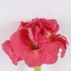 Artificial Flower Flower single stem moist real touch GS-79826006-P3_2 Artificial Flower 19*10*63cm Flower single stem /moist real touch GS-79826006-P3 2026SEP 3,000+ sqm showroom with thousands of artificial flowers, plants & trees ready for global sourcing.