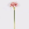 Artificial Flower Flower single stem moist real touch GS-79826006-W3 Artificial Flower 19*10*63cm Flower single stem /moist real touch GS-79826006-W3 2026SEP 3,000+ sqm showroom with thousands of artificial flowers, plants & trees ready for global sourcing.