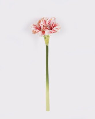 Artificial Flower 19*10*63cm Flower single stem /moist real touch GS-79826006-W3 2026SEP 3,000+ sqm showroom with thousands of artificial flowers, plants & trees ready for global sourcing. Artificial Flower 19*10*63cm Flower single stem /moist real touch GS-79826006-W3 2026SEP 3,000+ sqm showroom with thousands of artificial flowers, plants & trees ready for global sourcing.
