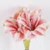 Artificial Flower Flower single stem moist real touch GS-79826006-W3_2 Artificial Flower 19*10*63cm Flower single stem /moist real touch GS-79826006-W3 2026SEP 3,000+ sqm showroom with thousands of artificial flowers, plants & trees ready for global sourcing.