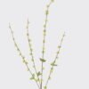 Artificial Flower 10*4*100cm Flowering plum single stem GS-27926027-Y1 2026Jul 3,000+ sqm showroom with thousands of artificial flowers, plants & trees ready for global sourcing.