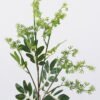 Artificial Flower Fontanesia 12 single stem GS-51626011-G2_2 Artificial Flower 18*5*85cm Fontanesia *12 single stem GS-51626011-G2 2026Aug 3,000+ sqm showroom with thousands of artificial flowers, plants & trees ready for global sourcing.