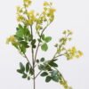Artificial Flower Fontanesia 12 single stem GS-51626011-Y1_2 Artificial Flower 18*5*85cm Fontanesia *12 single stem GS-51626011-Y1 2026Aug 3,000+ sqm showroom with thousands of artificial flowers, plants & trees ready for global sourcing.