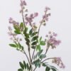 Artificial Flower Fontanesia 12 single stem GS-51626011-Z2_2 Artificial Flower 18*5*85cm Fontanesia *12 single stem GS-51626011-Z2 2026Aug 3,000+ sqm showroom with thousands of artificial flowers, plants & trees ready for global sourcing.