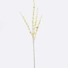 Artificial Flower Fontanesia single stem GS-27926026-Y1_2 Artificial Flower 10*4*100cm Fontanesia single stem GS-27926026-Y1 2026Jul 3,000+ sqm showroom with thousands of artificial flowers, plants & trees ready for global sourcing.