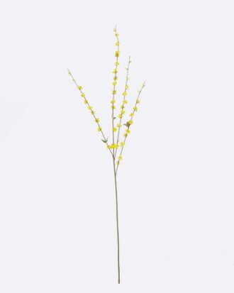 Artificial Flower 10*4*100cm Fontanesia single stem GS-27926026-Y1 2026Jul 3,000+ sqm showroom with thousands of artificial flowers, plants & trees ready for global sourcing. Artificial Flower 10*4*100cm Fontanesia single stem GS-27926026-Y1 2026Jul 3,000+ sqm showroom with thousands of artificial flowers, plants & trees ready for global sourcing.