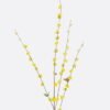 Artificial Flower Fontanesia single stem GS-27926026-Y1_4 Artificial Flower 10*4*100cm Fontanesia single stem GS-27926026-Y1 2026Jul 3,000+ sqm showroom with thousands of artificial flowers, plants & trees ready for global sourcing.