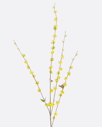Artificial Flower 10*4*100cm Fontanesia single stem GS-27926026-Y1 2026Jul 3,000+ sqm showroom with thousands of artificial flowers, plants & trees ready for global sourcing. Artificial Flower 10*4*100cm Fontanesia single stem GS-27926026-Y1 2026Jul 3,000+ sqm showroom with thousands of artificial flowers, plants & trees ready for global sourcing.