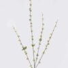 Artificial Flower Fontanesia single stem GS-27926026_2 Artificial Flower 10*4*100cm Fontanesia single stem GS-27926026 2026Jul 3,000+ sqm showroom with thousands of artificial flowers, plants & trees ready for global sourcing.