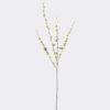 Artificial Flower Fontanesia single stem GS-27926026_4 Artificial Flower 10*4*100cm Fontanesia single stem GS-27926026 2026Jul 3,000+ sqm showroom with thousands of artificial flowers, plants & trees ready for global sourcing.