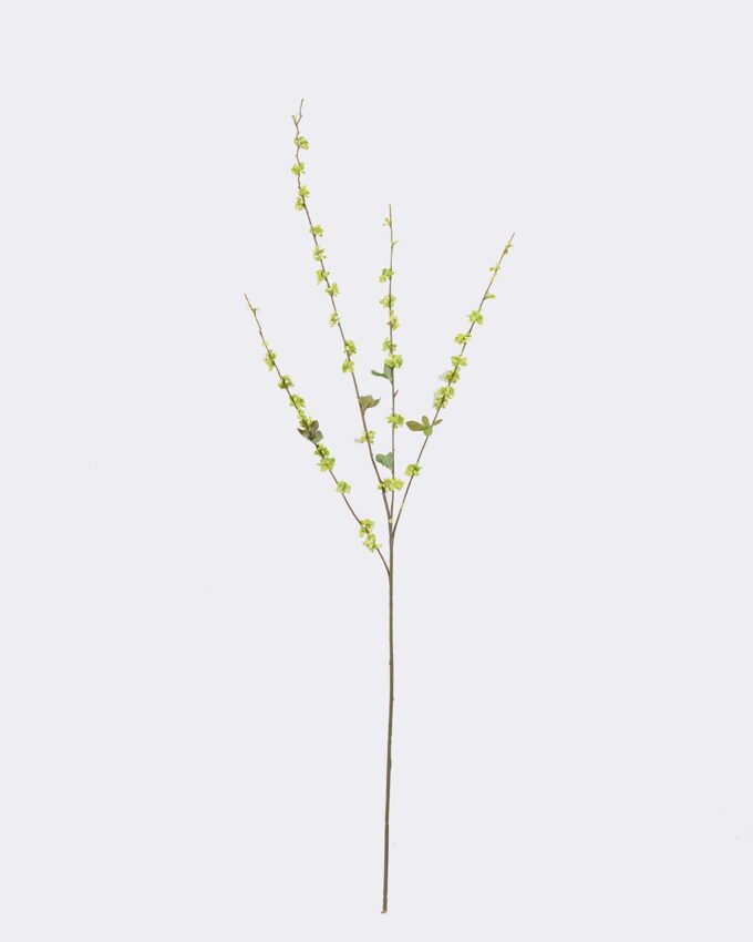 Artificial Flower Fontanesia single stem GS-27926026_4 Artificial Flower 10*4*100cm Fontanesia single stem GS-27926026 2026Jul 3,000+ sqm showroom with thousands of artificial flowers, plants & trees ready for global sourcing.