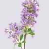 Artificial Flower 20*8*81cm Forsythia single stem GS-27926031 2026Jul 3,000+ sqm showroom with thousands of artificial flowers, plants & trees ready for global sourcing.
