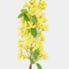 Artificial Flower 13*8*72cm Forsythia single stem GS-27926032 2026Jul 3,000+ sqm showroom with thousands of artificial flowers, plants & trees ready for global sourcing.