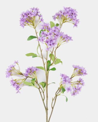 Artificial Flower 25*8*108cm Forsythia single stem GS-27926034-Z1 2026Jul 3,000+ sqm showroom with thousands of artificial flowers, plants & trees ready for global sourcing. Artificial Flower 25*8*108cm Forsythia single stem GS-27926034-Z1 2026Jul 3,000+ sqm showroom with thousands of artificial flowers, plants & trees ready for global sourcing.