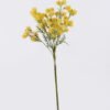 Artificial Flower Fruit 2 bush GS-36626006-Y1 Artificial Flower 25*10*80cm Fruit *2 bush GS-36626006-Y1 2026Jul 3,000+ sqm showroom with thousands of artificial flowers, plants & trees ready for global sourcing.