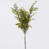 Artificial Flower Fruit 3 bush GS-36626016-K1_2 Artificial Flower 20*10*70cm Fruit *3 bush GS-36626016-K1 2026Jul 3,000+ sqm showroom with thousands of artificial flowers, plants & trees ready for global sourcing.