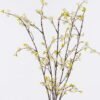 Artificial Flower 20*5*65cm Fruit *5 bush GS-36626002-W1 2026Jul 3,000+ sqm showroom with thousands of artificial flowers, plants & trees ready for global sourcing.