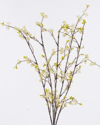 Artificial Flower 20*5*65cm Fruit *5 bush GS-36626002-W1 2026Jul 3,000+ sqm showroom with thousands of artificial flowers, plants & trees ready for global sourcing.