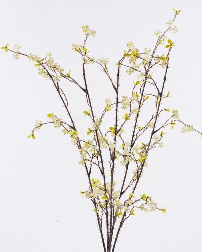 Artificial Flower 20*5*65cm Fruit *5 bush GS-36626002-W1 2026Jul 3,000+ sqm showroom with thousands of artificial flowers, plants & trees ready for global sourcing.