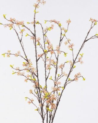 Artificial Flower 20*5*65cm Fruit *5 bush GS-36626002 2026Jul 3,000+ sqm showroom with thousands of artificial flowers, plants & trees ready for global sourcing.