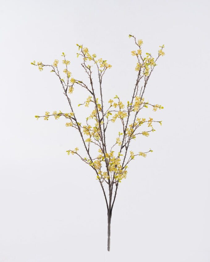 Artificial Flower 20*5*65cm Fruit *5 bush GS-36626002 2026Jul 3,000+ sqm showroom with thousands of artificial flowers, plants & trees ready for global sourcing.