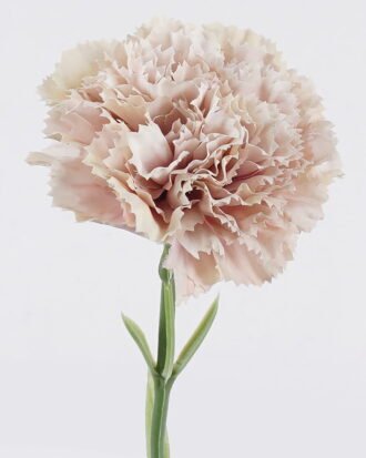 Artificial Flower GS-57926001-Y1 2026Aug 3,000+ sqm showroom with thousands of artificial flowers, plants & trees ready for global sourcing. Artificial Flower GS-57926001-Y1 2026Aug 3,000+ sqm showroom with thousands of artificial flowers, plants & trees ready for global sourcing.