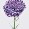 Artificial Flower GS-57926001-Z1_2 Artificial Flower GS-57926001-Z1 2026Aug 3,000+ sqm showroom with thousands of artificial flowers, plants & trees ready for global sourcing.