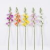 Artificial Flower Gladiolus single stem real touch GS-77326001 Artificial Flower 15*5*86cm Gladiolus single stem/real touch GS-77326001 2026Aug 3,000+ sqm showroom with thousands of artificial flowers, plants & trees ready for global sourcing.