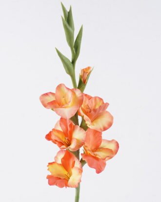 Artificial Flower 15*5*86cm Gladiolus single stem/real touch GS-77326001-O1 2026Aug 3,000+ sqm showroom with thousands of artificial flowers, plants & trees ready for global sourcing. Artificial Flower 15*5*86cm Gladiolus single stem/real touch GS-77326001-O1 2026Aug 3,000+ sqm showroom with thousands of artificial flowers, plants & trees ready for global sourcing.