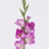 Artificial Flower Gladiolus single stem real touch GS-77326001-Z1_1 Artificial Flower 15*5*86cm Gladiolus single stem/real touch GS-77326001-Z1 2026Aug 3,000+ sqm showroom with thousands of artificial flowers, plants & trees ready for global sourcing.