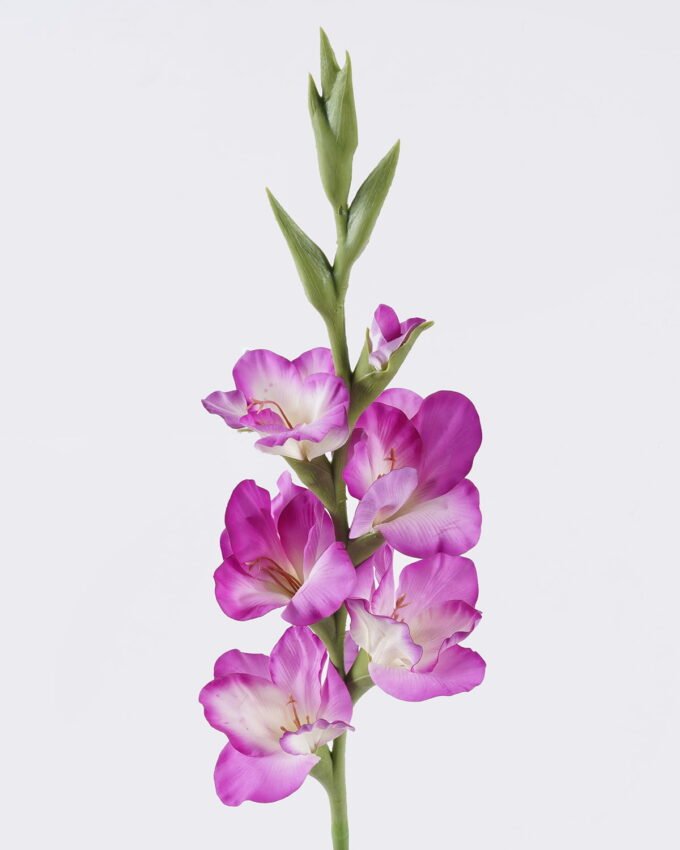 Artificial Flower 15*5*86cm Gladiolus single stem/real touch GS-77326001-Z1 2026Aug 3,000+ sqm showroom with thousands of artificial flowers, plants & trees ready for global sourcing.