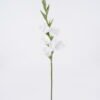 Artificial Flower Gladiolus single stem real touch GS-77326001_4 Artificial Flower 15*5*86cm Gladiolus single stem/real touch GS-77326001 2026Aug 3,000+ sqm showroom with thousands of artificial flowers, plants & trees ready for global sourcing.