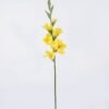 Artificial Flower Gladiolus single stem real touch GS-77326001_5 Artificial Flower 15*5*86cm Gladiolus single stem/real touch GS-77326001 2026Aug 3,000+ sqm showroom with thousands of artificial flowers, plants & trees ready for global sourcing.