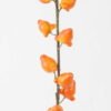 Artificial Flower 13*8*63cm Golden Fruit *8 single stem GS-77626003 2026Aug 3,000+ sqm showroom with thousands of artificial flowers, plants & trees ready for global sourcing.