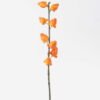 Artificial Flower 13*8*63cm Golden Fruit *8 single stem GS-77626003 2026Aug 3,000+ sqm showroom with thousands of artificial flowers, plants & trees ready for global sourcing.