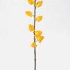 Artificial Flower 13*8*63cm Golden Fruit *8 single stem GS-77626003 2026Aug 3,000+ sqm showroom with thousands of artificial flowers, plants & trees ready for global sourcing.