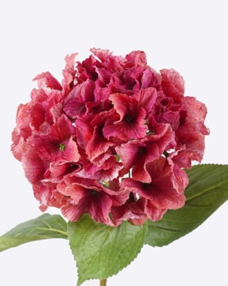 Artificial Flower 30*15*68cm Hydrangea *11 single stem GS-15426009-R3 2026Jun 3,000+ sqm showroom with thousands of artificial flowers, plants & trees ready for global sourcing. Artificial Flower 30*15*68cm Hydrangea *11 single stem GS-15426009-R3 2026Jun 3,000+ sqm showroom with thousands of artificial flowers, plants & trees ready for global sourcing.
