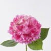 Artificial Flower Hydrangea Anti-UV single stem GS-15426032-UV_2 Artificial Flower 31*14*65cm Hydrangea Anti-UV single stem GS-15426032-UV 2026Jun 3,000+ sqm showroom with thousands of artificial flowers, plants & trees ready for global sourcing.
