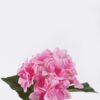 Artificial Flower Hydrangea Anti-UV single stem GS-15426041-UV-P2_2 Artificial Flower 18*9*45cm Hydrangea Anti-UV single stem GS-15426041-UV-P2 2026Jun 3,000+ sqm showroom with thousands of artificial flowers, plants & trees ready for global sourcing.