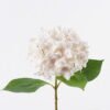 Artificial Flower Hydrangea Anti-UV single stem GS-15426042-UV-W1_8 Artificial Flower 32*14*65cm Hydrangea Anti-UV single stem GS-15426042-UV-W1 2026Jun 3,000+ sqm showroom with thousands of artificial flowers, plants & trees ready for global sourcing.