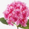 Artificial Flower Hydrangea Anti-UV single stem GS-15426042-UV_2 Artificial Flower 32*14*65cm Hydrangea Anti-UV single stem GS-15426042-UV 2026Jun 3,000+ sqm showroom with thousands of artificial flowers, plants & trees ready for global sourcing.