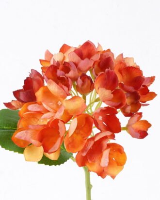 Artificial Flower 18*11*35cm Hydrangea Single Stem GS-27926014-O1 2026Jul 3,000+ sqm showroom with thousands of artificial flowers, plants & trees ready for global sourcing. Artificial Flower 18*11*35cm Hydrangea Single Stem GS-27926014-O1 2026Jul 3,000+ sqm showroom with thousands of artificial flowers, plants & trees ready for global sourcing.