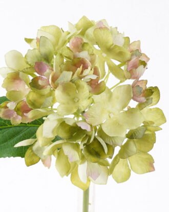 Artificial Flower 18*11*35cm Hydrangea Single Stem GS-27926014 2026Jul 3,000+ sqm showroom with thousands of artificial flowers, plants & trees ready for global sourcing. Artificial Flower 18*11*35cm Hydrangea Single Stem GS-27926014 2026Jul 3,000+ sqm showroom with thousands of artificial flowers, plants & trees ready for global sourcing.