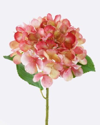 Artificial Flower 18*12*55cm Hydrangea single stem GS-27926045-P1 2026Jul 3,000+ sqm showroom with thousands of artificial flowers, plants & trees ready for global sourcing. Artificial Flower 18*12*55cm Hydrangea single stem GS-27926045-P1 2026Jul 3,000+ sqm showroom with thousands of artificial flowers, plants & trees ready for global sourcing.