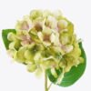 Artificial Flower Hydrangea single stem GS-27926045_2 Artificial Flower 18*12*55cm Hydrangea single stem GS-27926045 2026Jul 3,000+ sqm showroom with thousands of artificial flowers, plants & trees ready for global sourcing.
