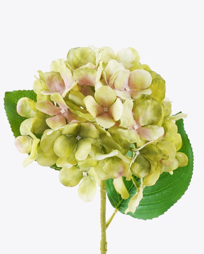 Artificial Flower Hydrangea single stem GS-27926045_2 Artificial Flower 18*12*55cm Hydrangea single stem GS-27926045 2026Jul 3,000+ sqm showroom with thousands of artificial flowers, plants & trees ready for global sourcing.