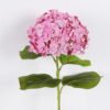 Artificial Flower Hydrangea single stem moist real touch GS-31326001-P2_8 Artificial Flower 19*15*80cm Hydrangea single stem/moist real touch GS-31326001-P2 2026Jul 3,000+ sqm showroom with thousands of artificial flowers, plants & trees ready for global sourcing.