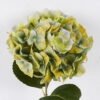 Artificial Flower Hydrangea single stem moist real touch GS-71326002-Y2_2 Artificial Flower 18*13*64cm Hydrangea single stem/moist real touch GS-71326002-Y2 2026Aug 3,000+ sqm showroom with thousands of artificial flowers, plants & trees ready for global sourcing.